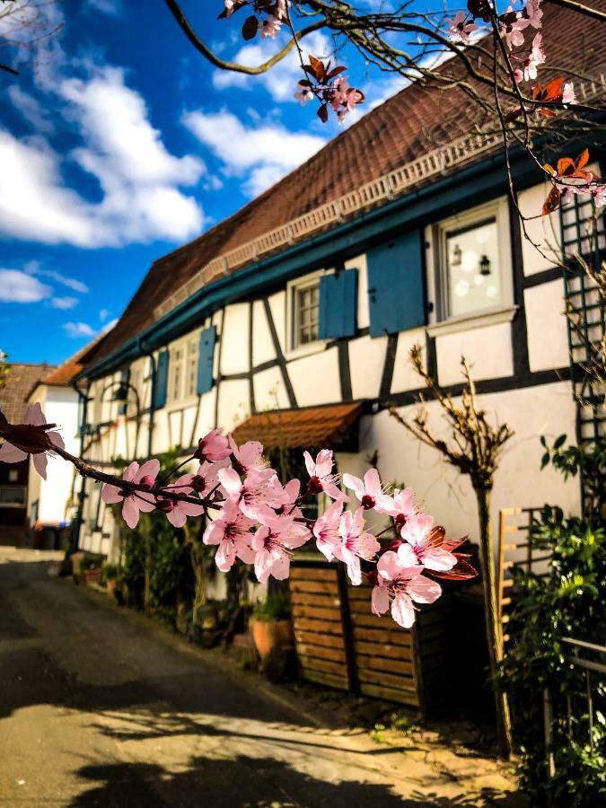 Hexenhaeuschen Dreieichenhain Dış mekan fotoğraf